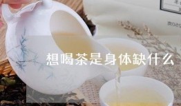 喝茶爆料最新视频大全,喝茶爆料最新视频大盘点