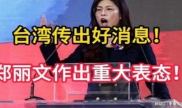台湾郑丽文爆料视频,揭秘背后惊人真相