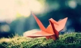 千纸鹤最新爆料视频,幕后真相大起底