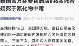 沈梦晨最新爆料新闻事件,揭秘娱乐圈惊人内幕